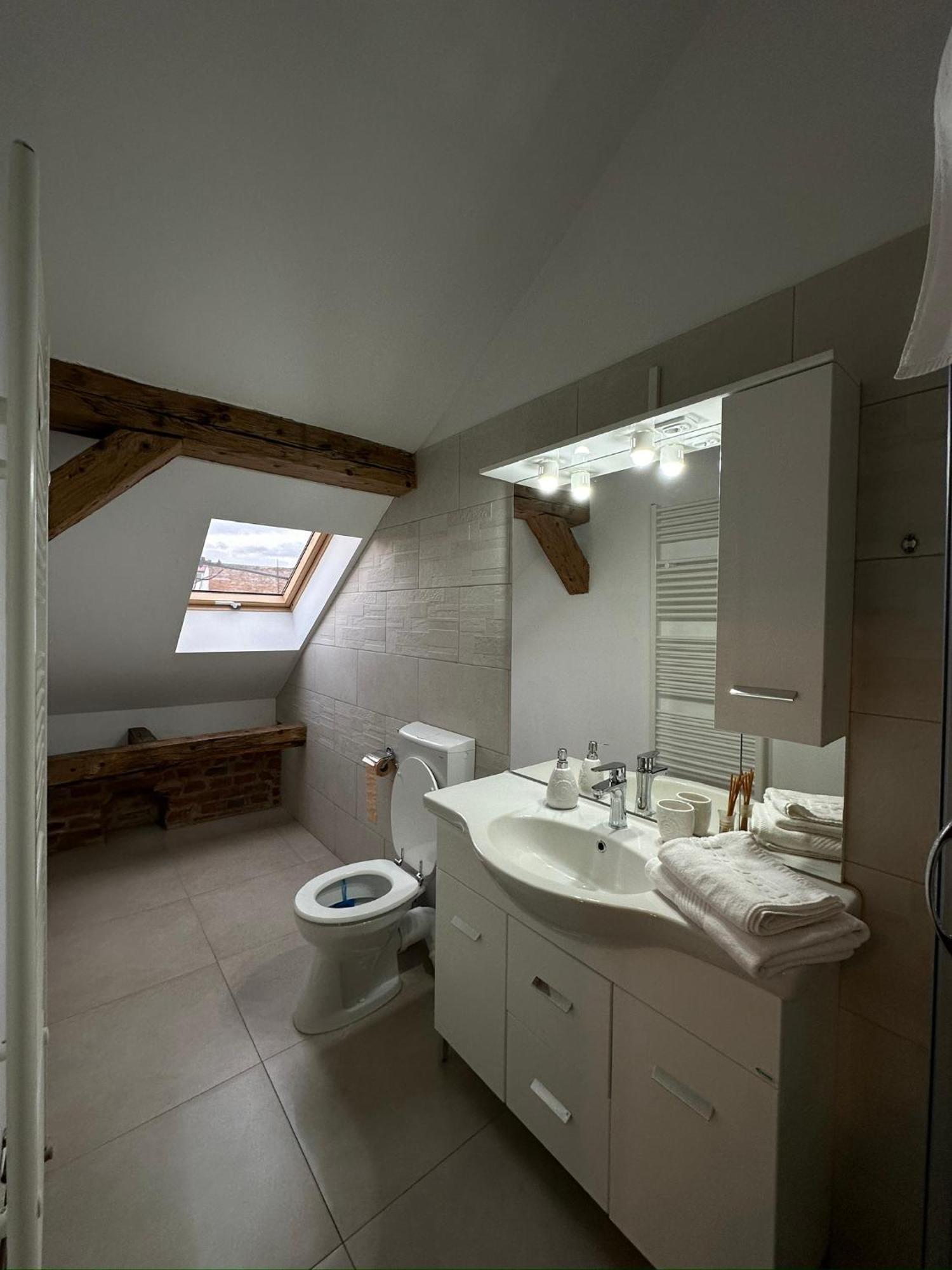 Antique Aparthotel Alba Iulia Esterno foto